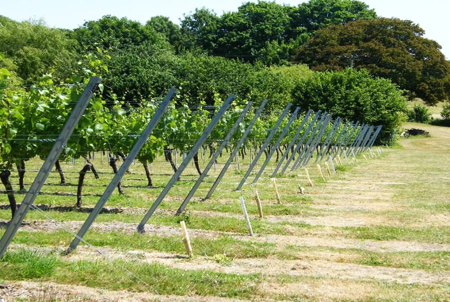Kotvení opěrných konstrukcí ve vinohradech a ovocných sadech